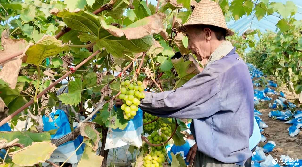 微信图片_2025-09-18_092454_105.jpg