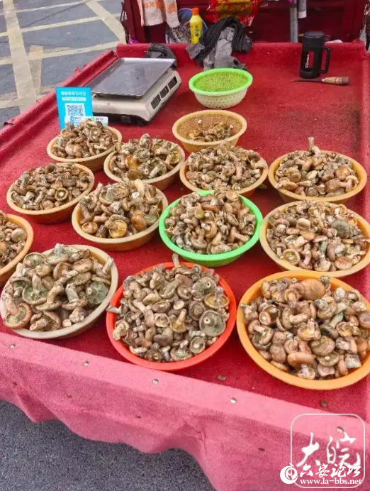 QQ20250918-100930.png