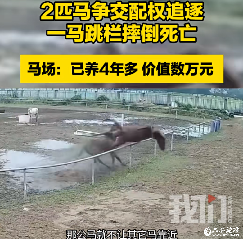 QQ20250926-090118.png