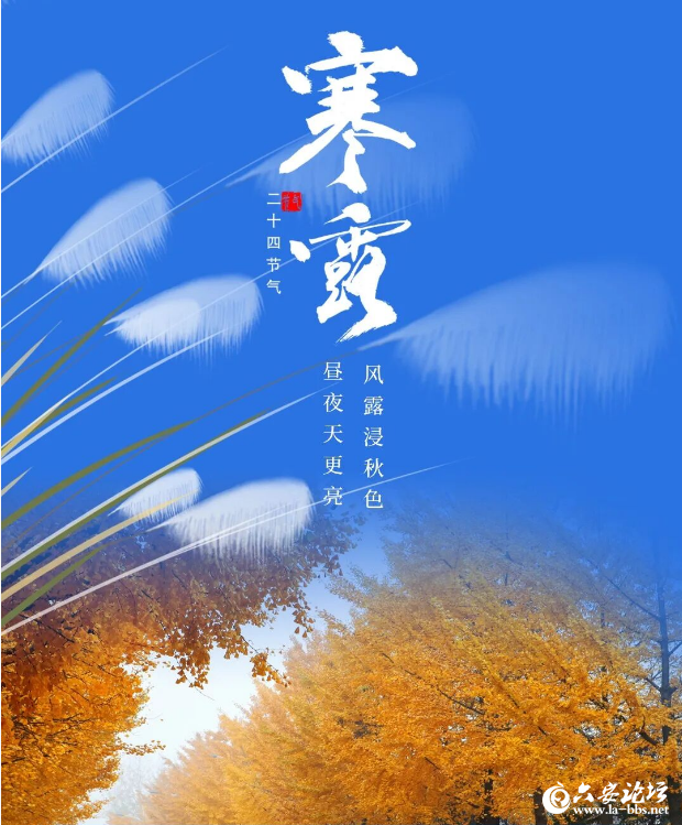 QQ20251009-082258.png