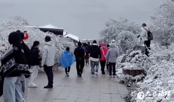 微信图片_2025-10-13_081843_295.png