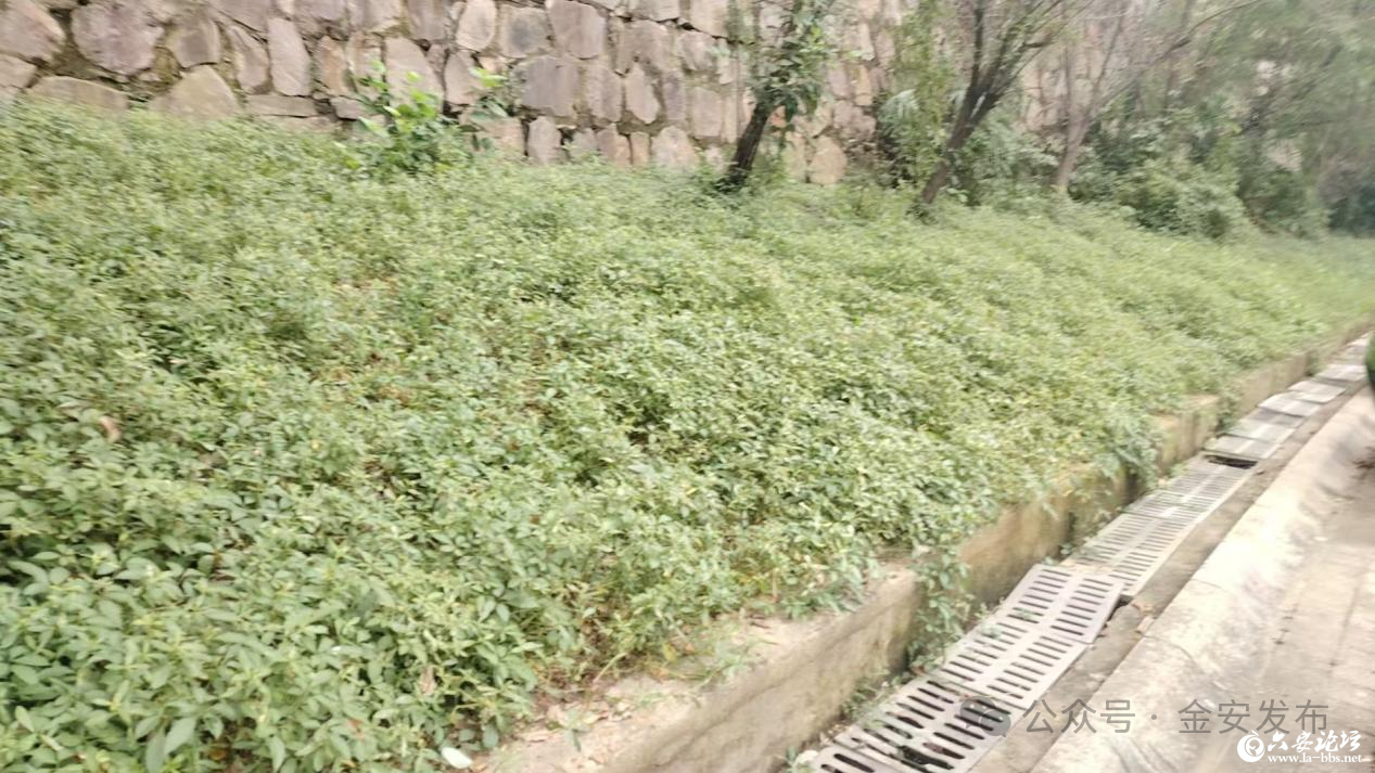 微信图片_2025-10-14_141910_141.png