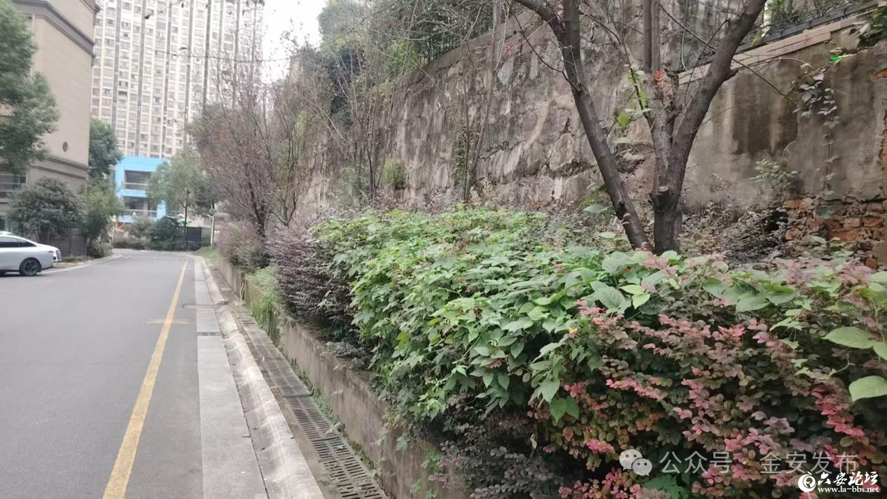微信图片_2025-10-14_141906_800.png