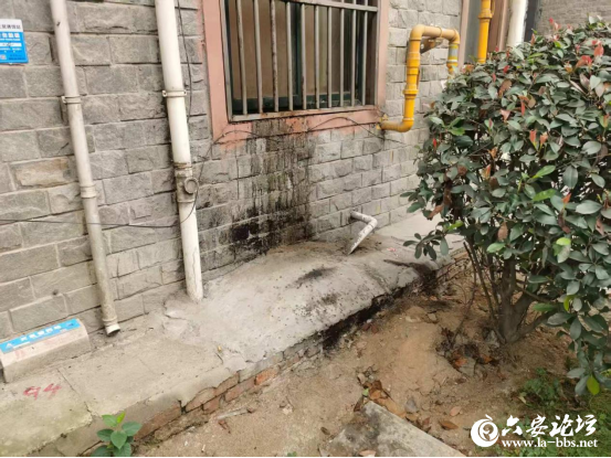 微信图片_2025-10-17_100327_099.png
