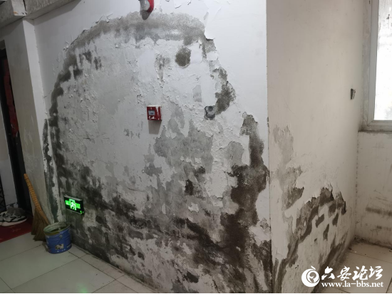 微信图片_2025-10-17_100306_067.png