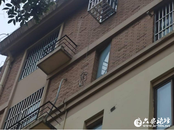 微信图片_2025-10-17_100203_578.png