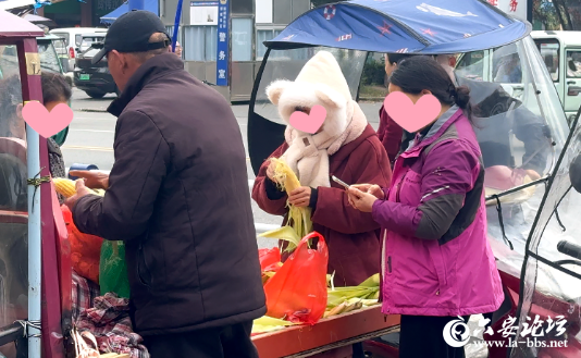微信图片_2025-10-20_084412_040.png