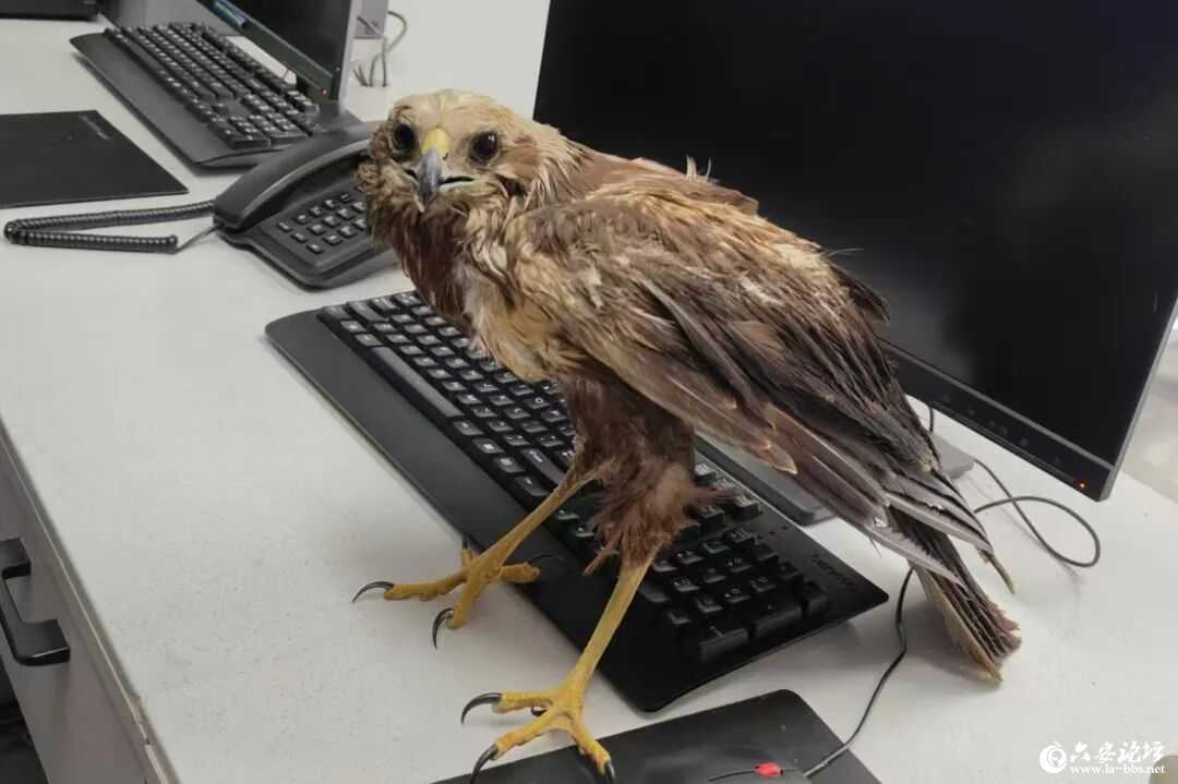 微信图片_2025-10-21_105519_180.jpg