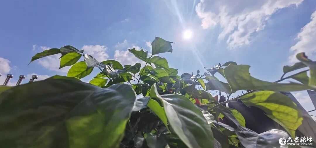微信图片_2025-10-23_090454_515.jpg