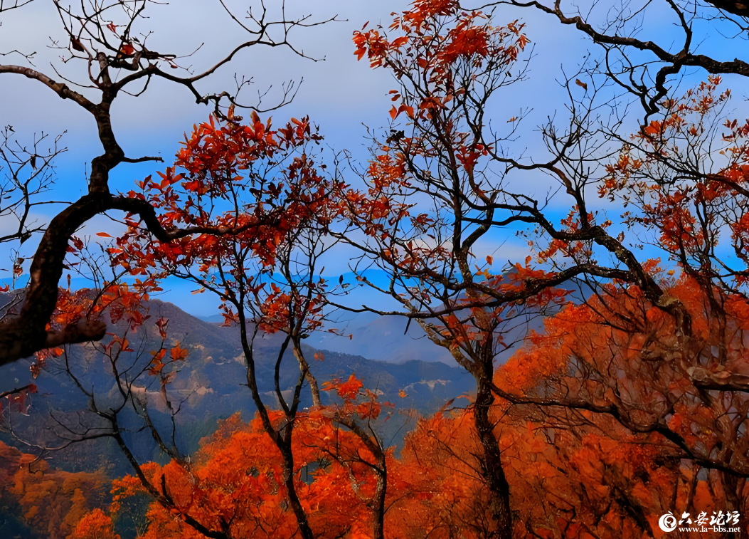 QQ20251024-105506.png