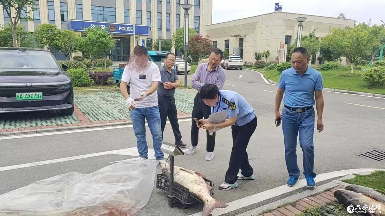 微信图片_2026-05-25_083742_368.jpg