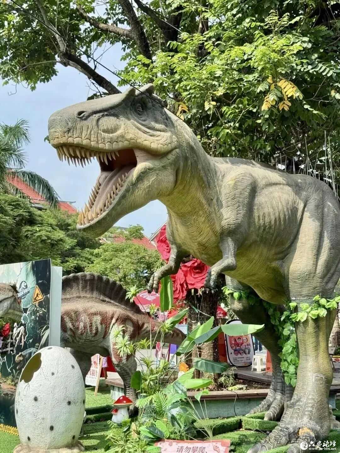 微信图片_2026-06-01_084754_866.jpg