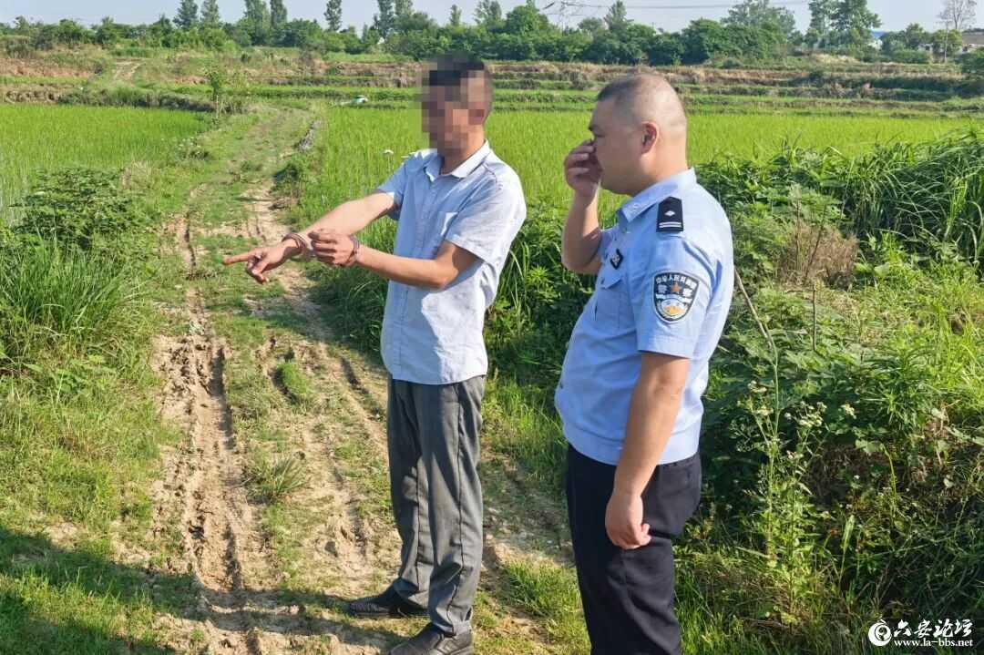 微信图片_2026-06-03_082610_136.jpg
