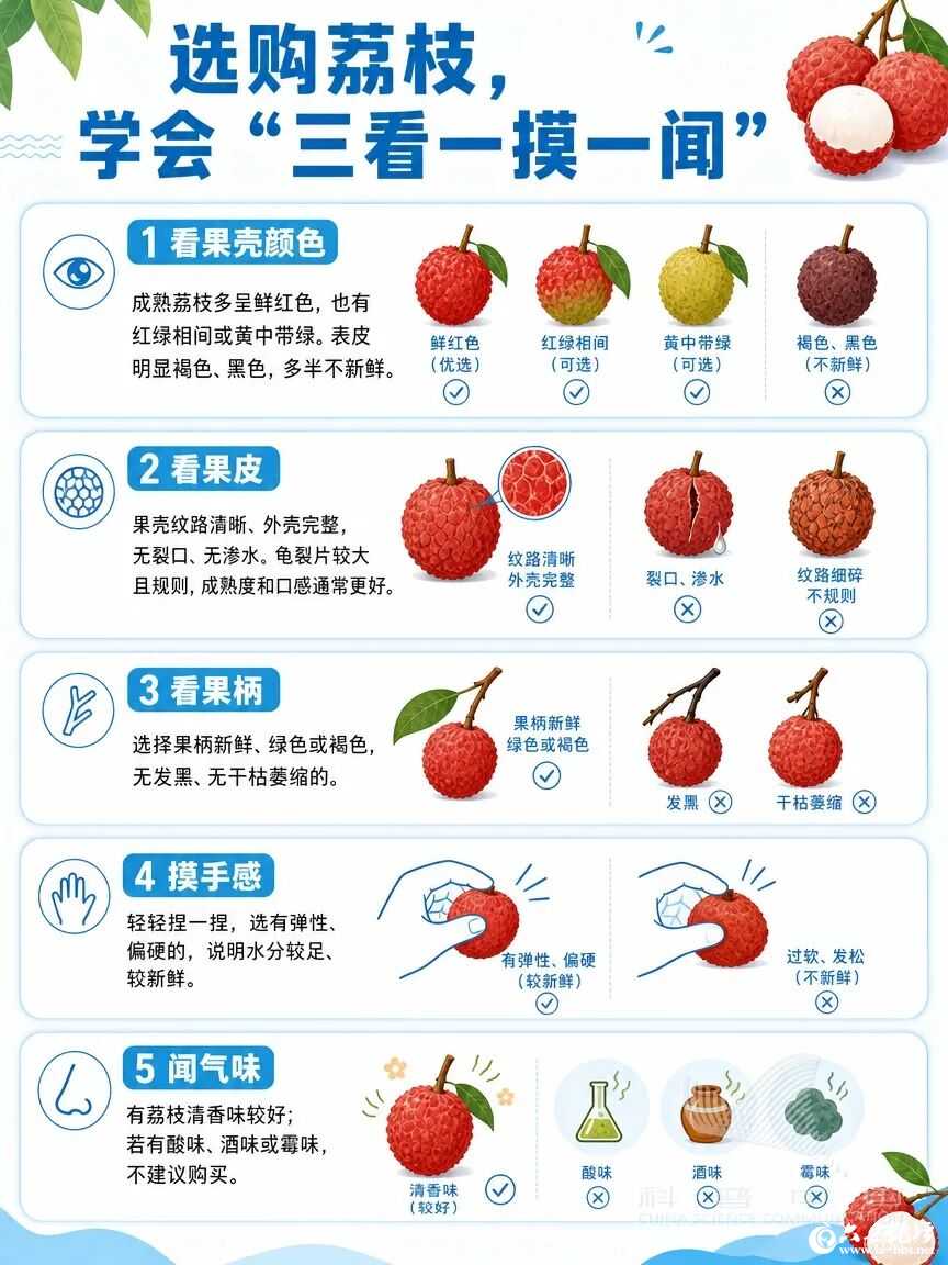 微信图片_2026-06-04_083852_778.jpg