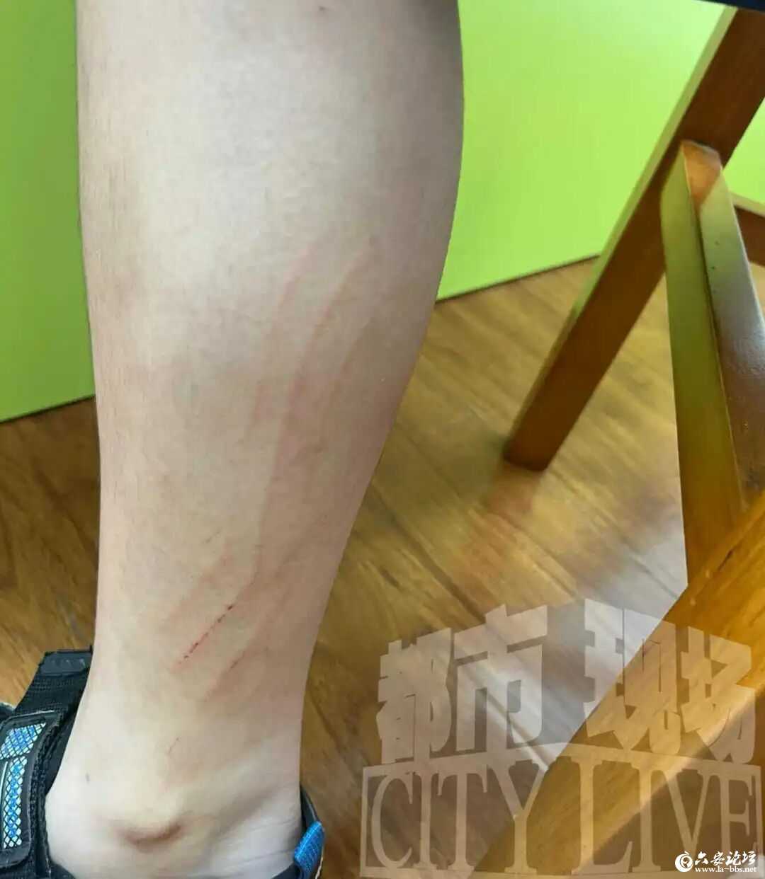 微信图片_2026-06-11_094550_139.jpg