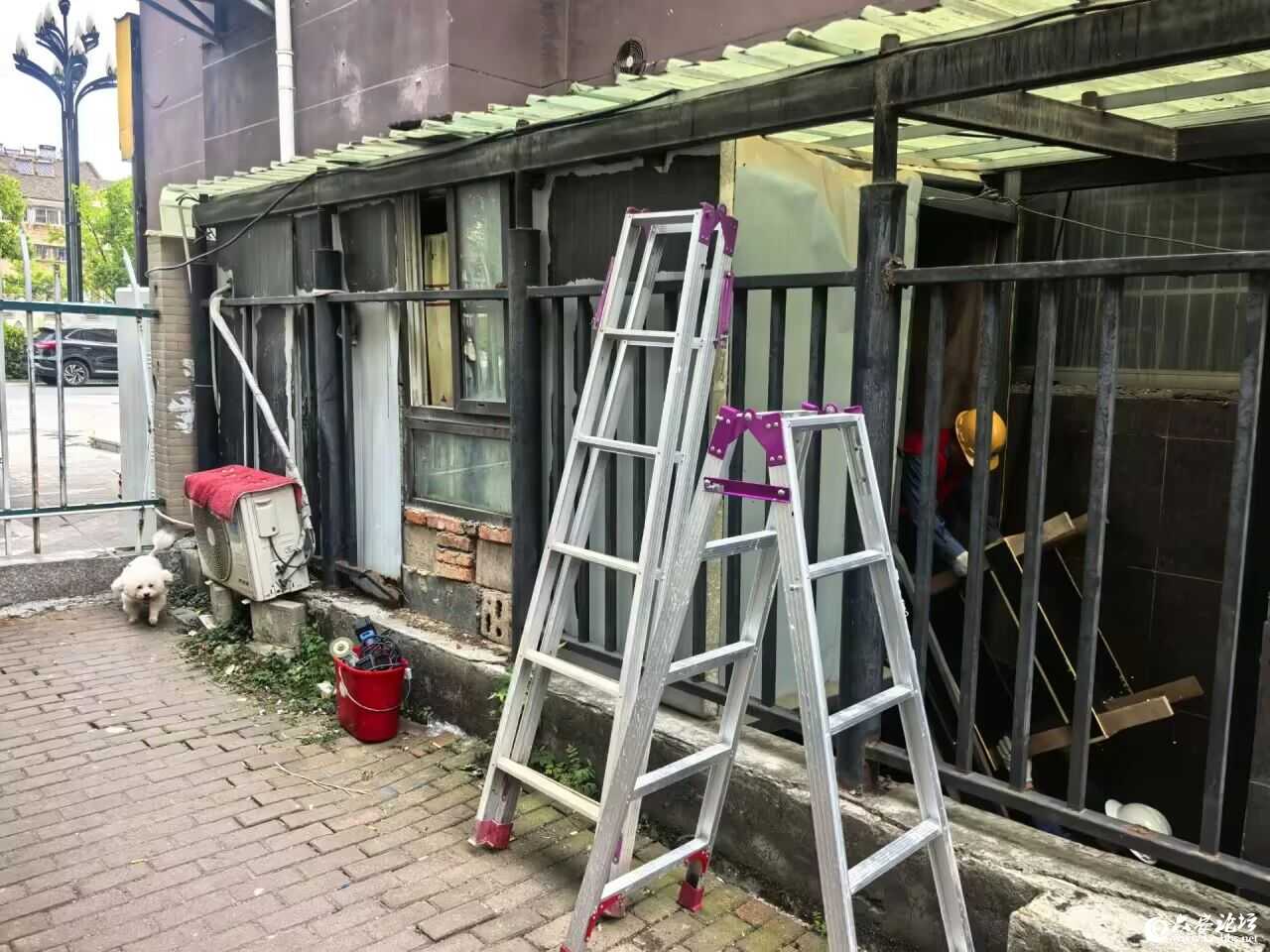 微信图片_2026-06-15_092312_199.jpg