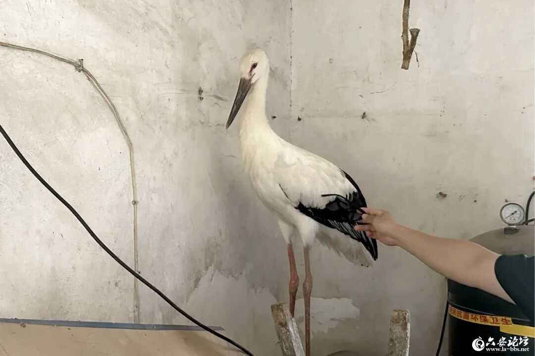微信图片_2026-06-16_091023_708.jpg