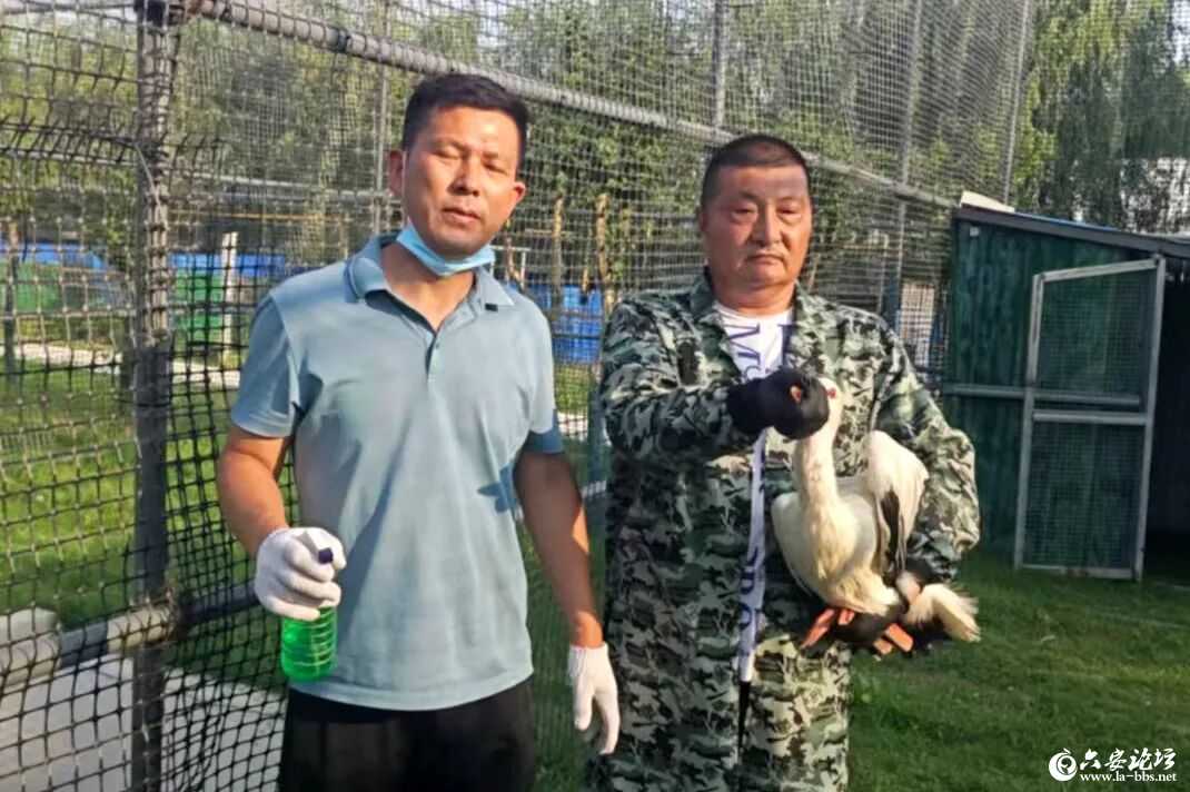 微信图片_2026-06-16_091014_635.jpg