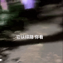 微信图片_2026-07-03_090011_631.jpg