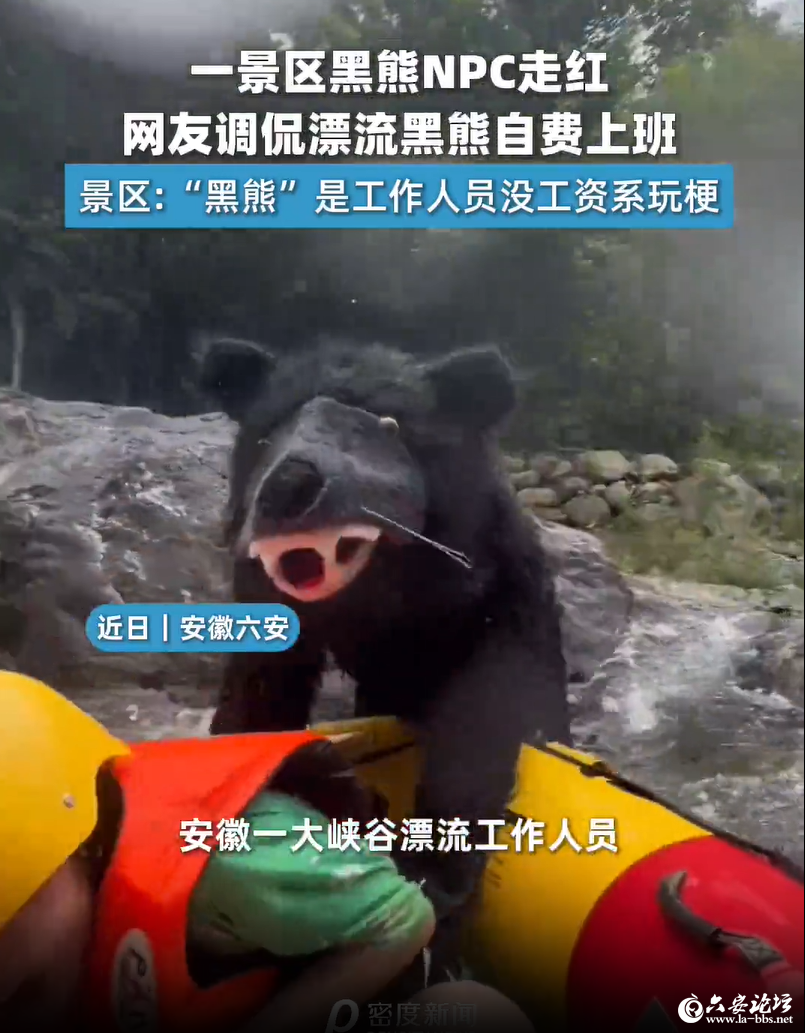 QQ20260703-091252.png