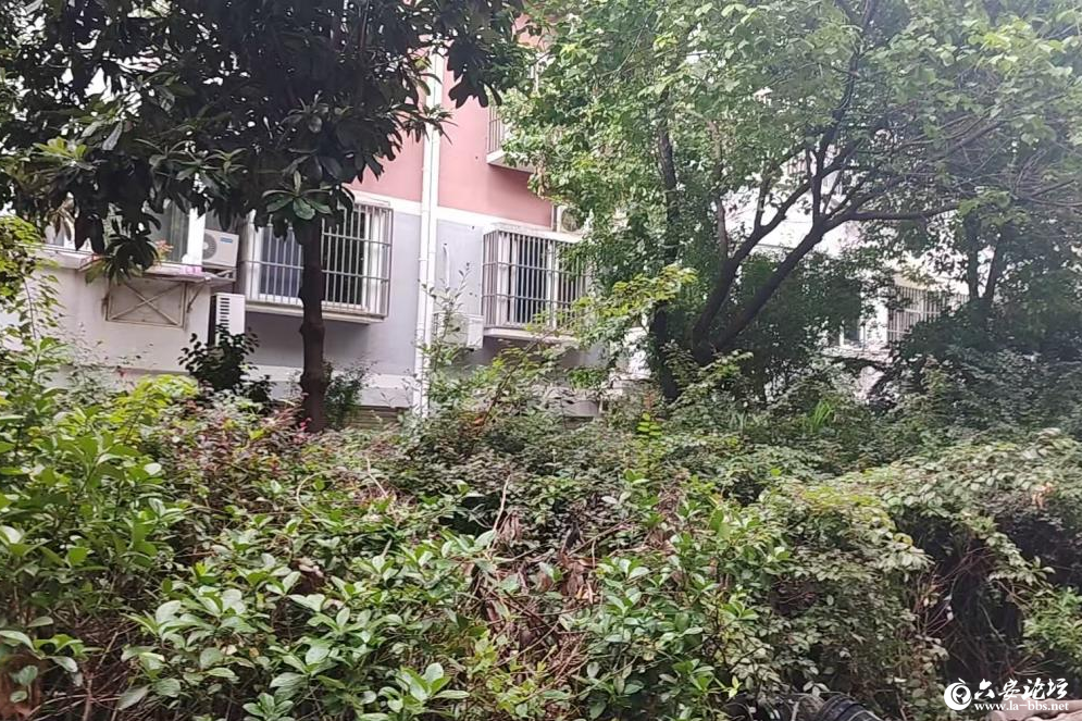 微信图片_2026-07-14_093648_676.png