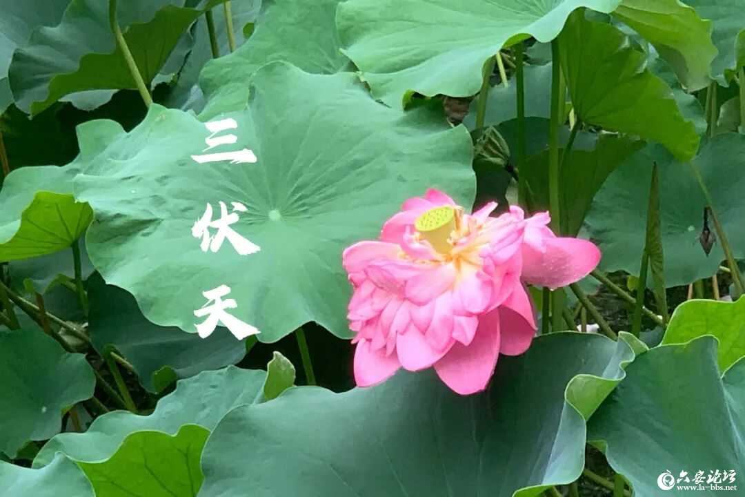 微信图片_2026-07-14_095817_827.jpg