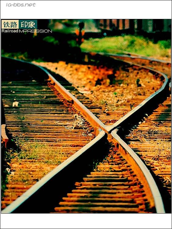 [贴图]铁路。印象