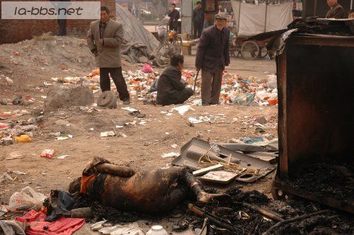 河南洛阳街头超失人性的一幕