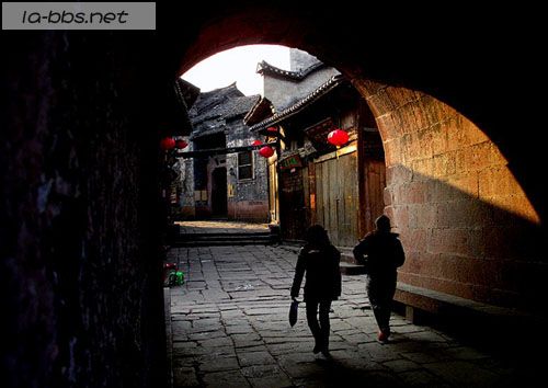 [贴图]古老凤凰的今天故事