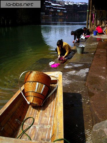 [贴图]古老凤凰的今天故事