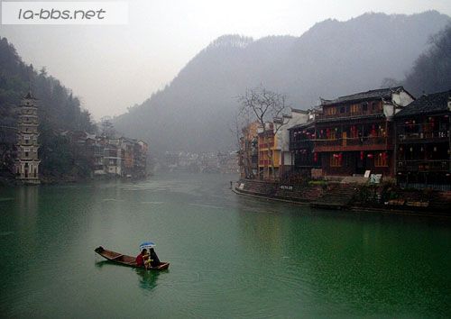 [贴图]古老凤凰的今天故事