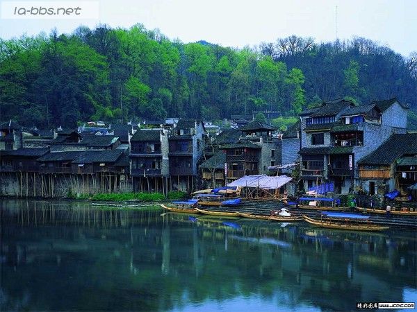 [贴图]古老凤凰的今天故事