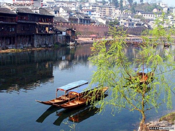 [贴图]古老凤凰的今天故事