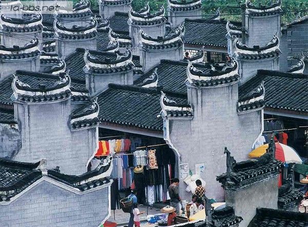 [贴图]古老凤凰的今天故事