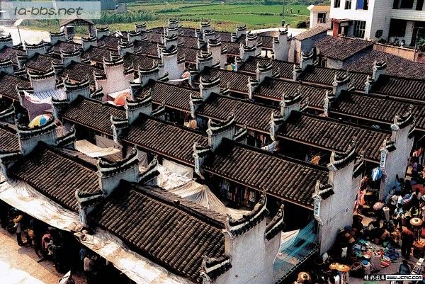 [贴图]古老凤凰的今天故事