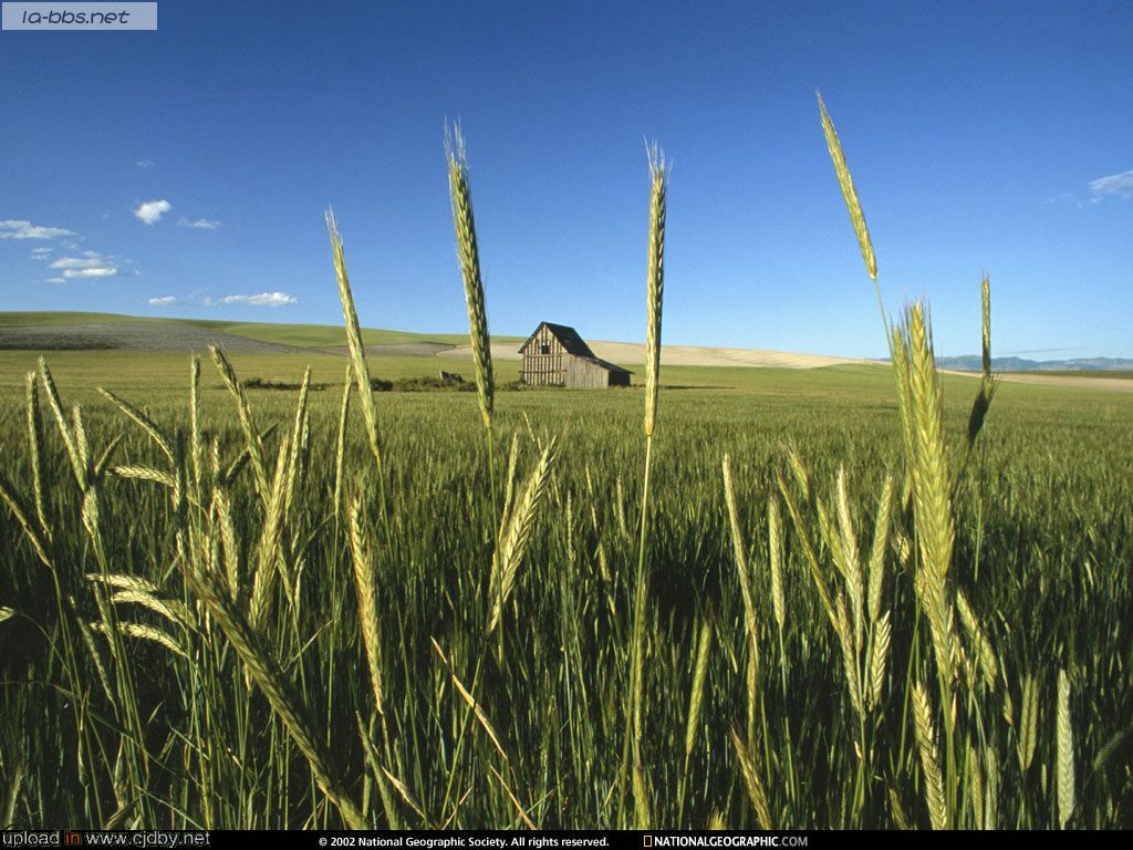 国家地理美图（不断更新中）