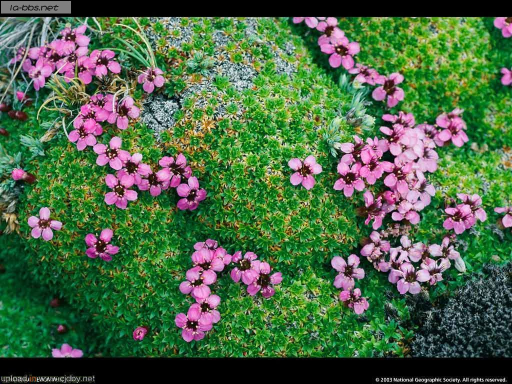 国家地理美图（不断更新中）