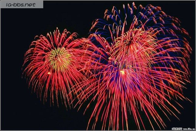 <font color=#FF4500>[焰火晚会]〓祝青山生日快乐〓</font>