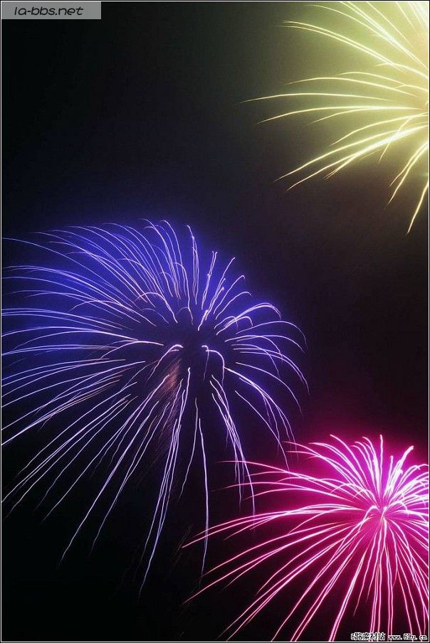 <font color=#FF4500>[焰火晚会]〓祝青山生日快乐〓</font>