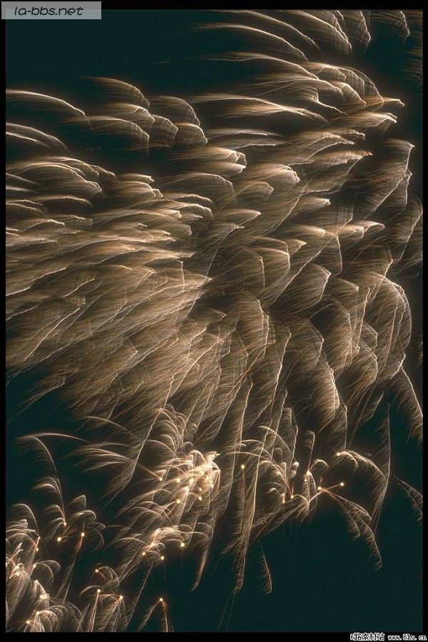 <font color=#FF4500>[焰火晚会]〓祝青山生日快乐〓</font>