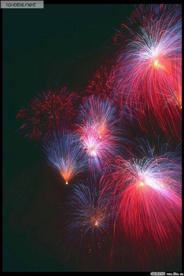 <font color=#FF4500>[焰火晚会]〓祝青山生日快乐〓</font>