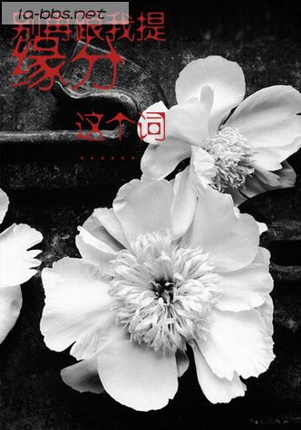 『挑我所喜選妳所愛』§杂谈§心情图片(不斷更新...)