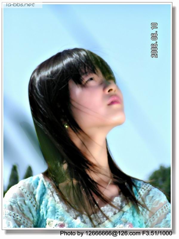 六安论坛网友照片大杂烩