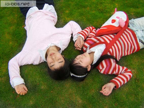 六安论坛网友照片大杂烩