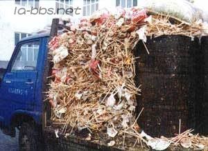 可怕的一次性生活