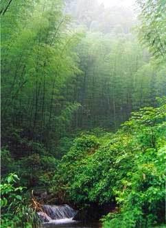 可怕的一次性生活