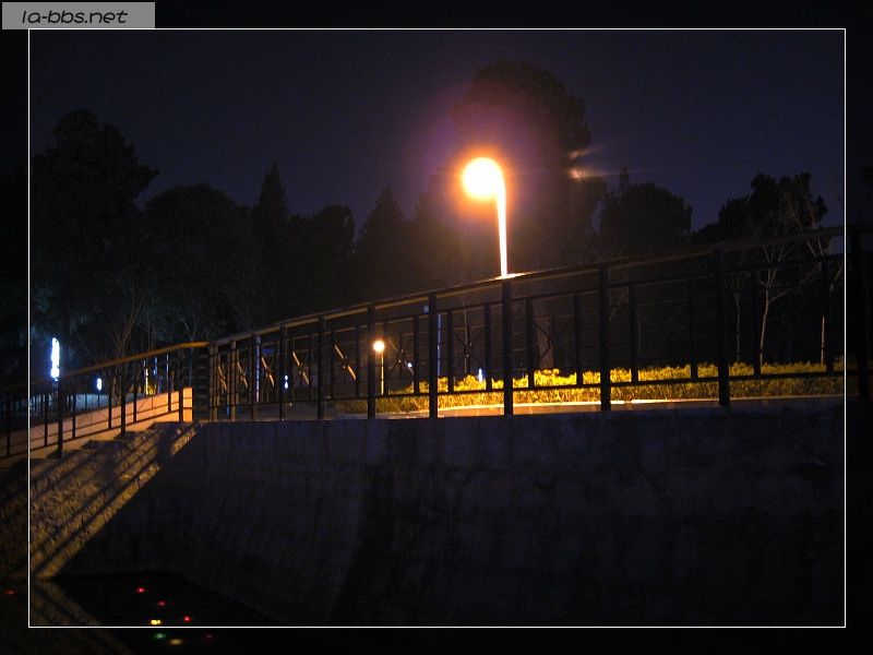 [原创]美丽的皋城夜色