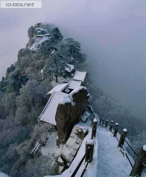 有谁年前想去黄山看冬景啊？组队