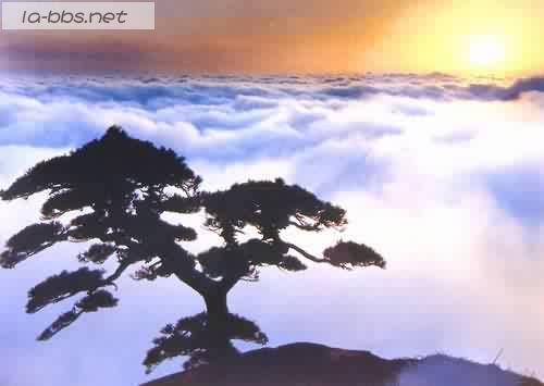 有谁年前想去黄山看冬景啊？组队