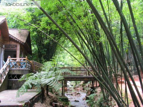 [分享]我的视频来看看 乌镇游记